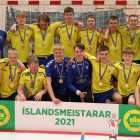 Handboltafingar hefjast  mnudaginn