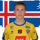 Bjrgvin, Elvar og var valdir  fingahpa U17 og U16