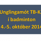 Unglingamt  badminton